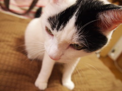 私の実家にて