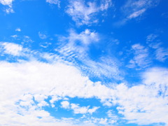P8163156