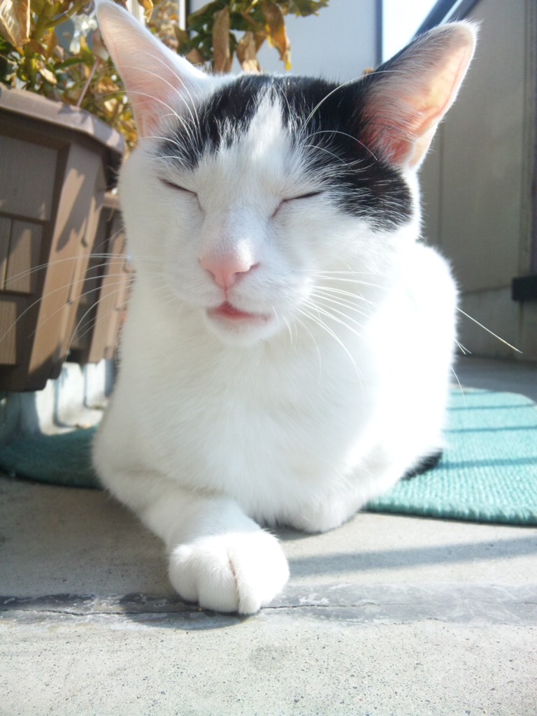 何かを語ってくださる
