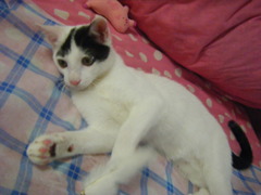 DSCF5977