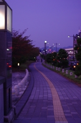 現実の道