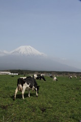 富士の牧歌