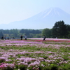 富士の絨毯