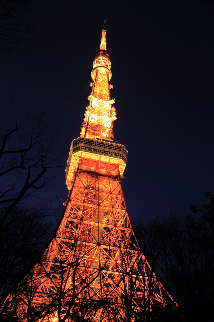 Tokyo Tower