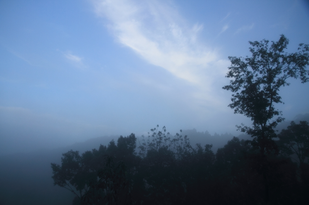 浮雲