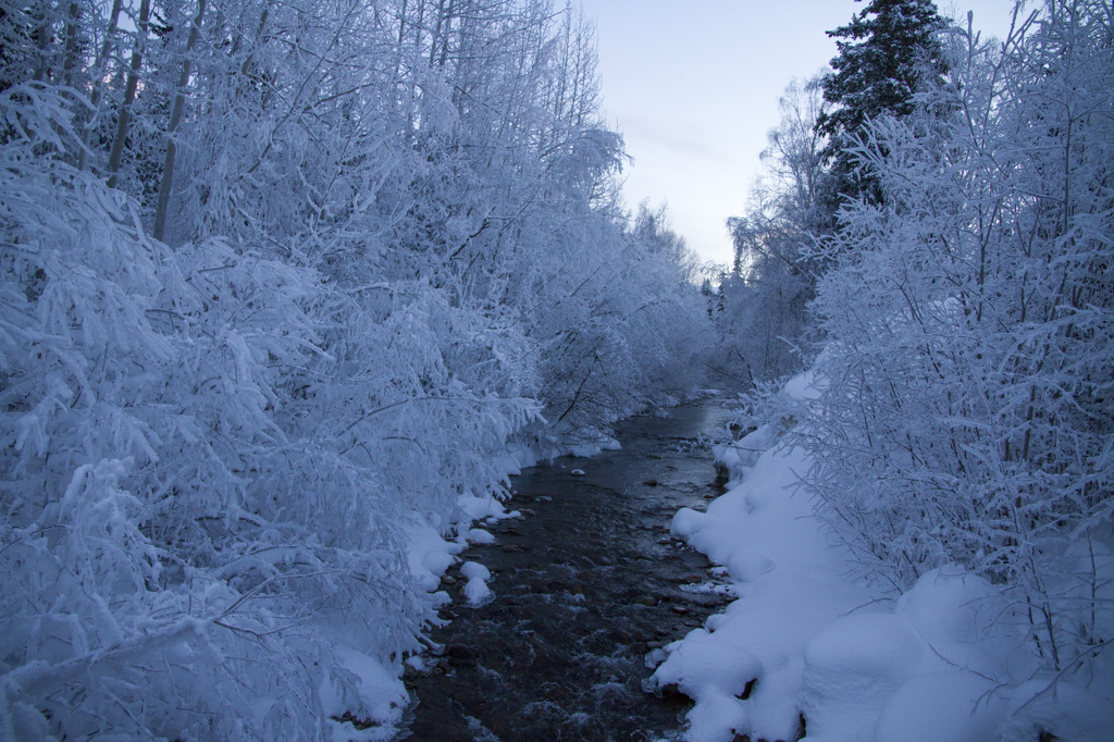 white world