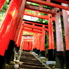 神域の入口
