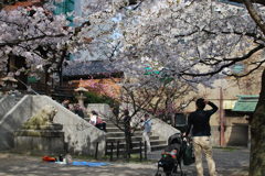 団欒