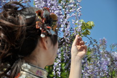 藤祭り　２