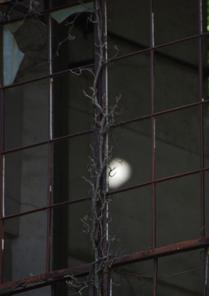 K5IM0046t_Resize