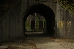 IMGP8276_Resize