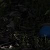 K5IM8689_Resize