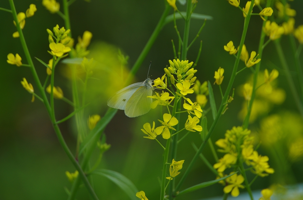 K5IM9253_Resize