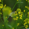 K5IM9253_Resize