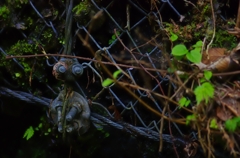 K5IM0506_Resize