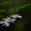 K5IM0503_Resize