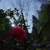 K5IM8140_Resize