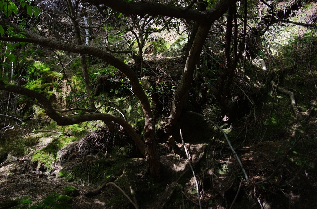 K5IM0021_Resize
