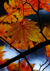 K5IM3138_Resize