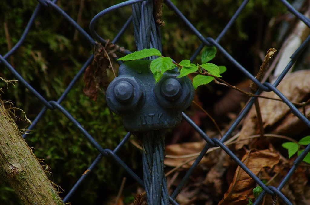 K5IM0512_Resize