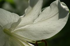 IMGP6600_Resize