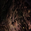K5IM3480_Resize