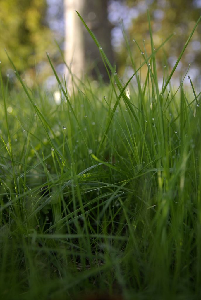 __IGP5826_Resize