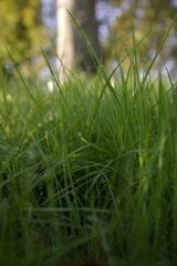 __IGP5826_Resize