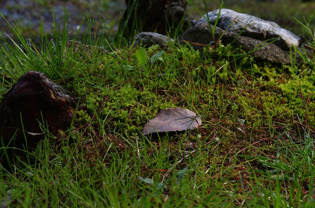 K5IM9524_Resize