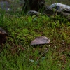 K5IM9524_Resize