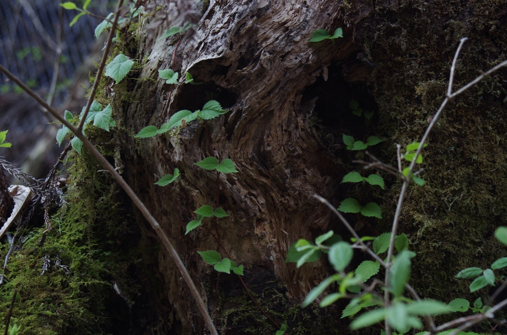 K5IM0153_Resize