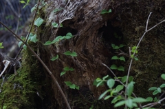 K5IM0153_Resize