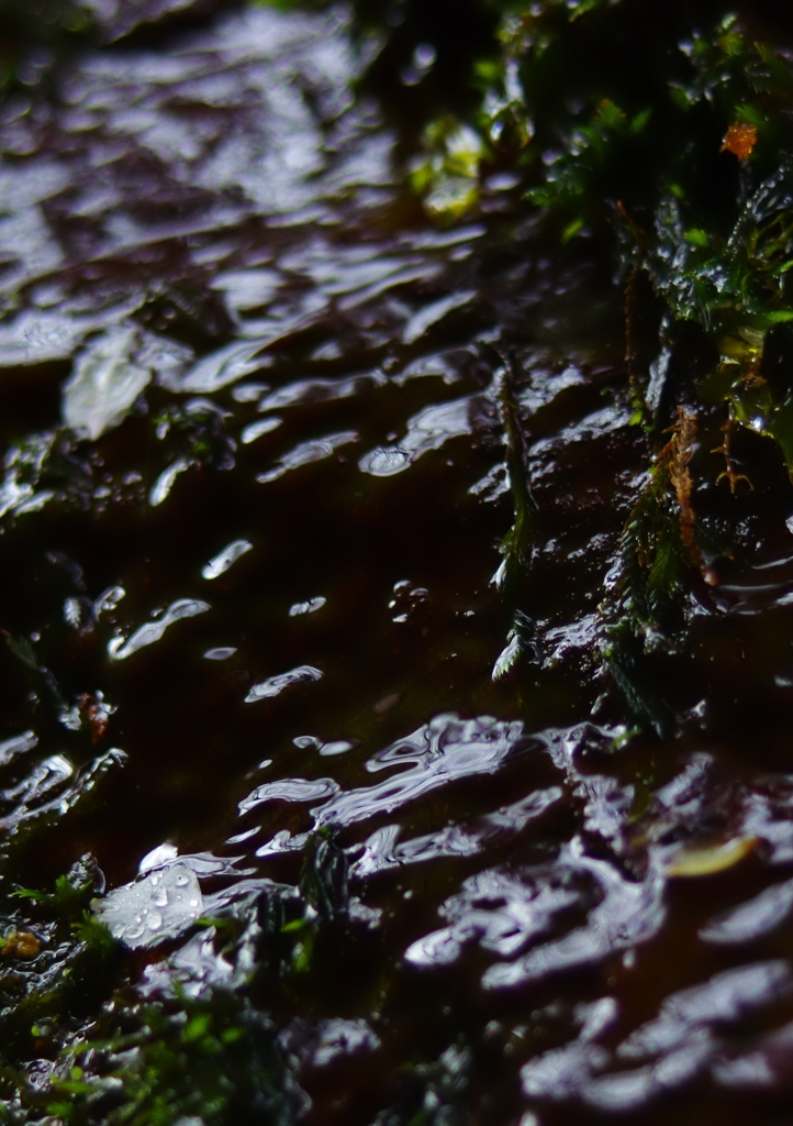 K5IM0133_Resize