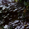K5IM0133_Resize