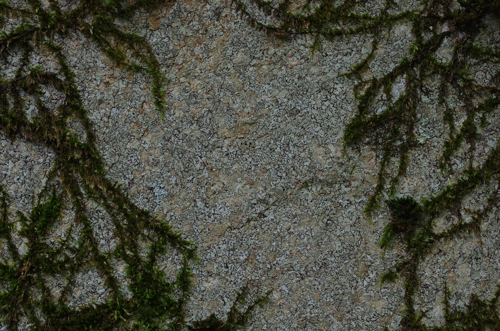 K5IM5374_R