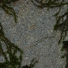 K5IM5374_R