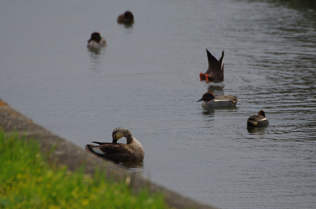 K5IM9386_Resize