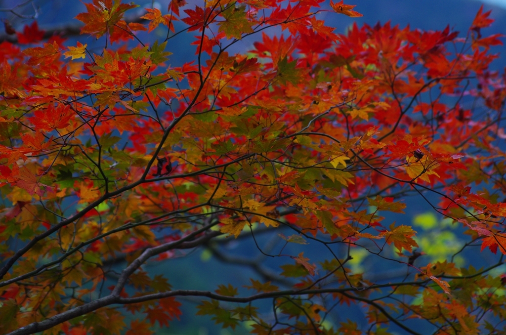 K5IM3222_Resize