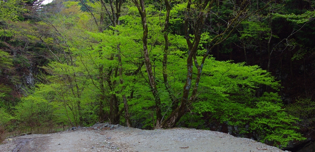 K5IM0494_Resize