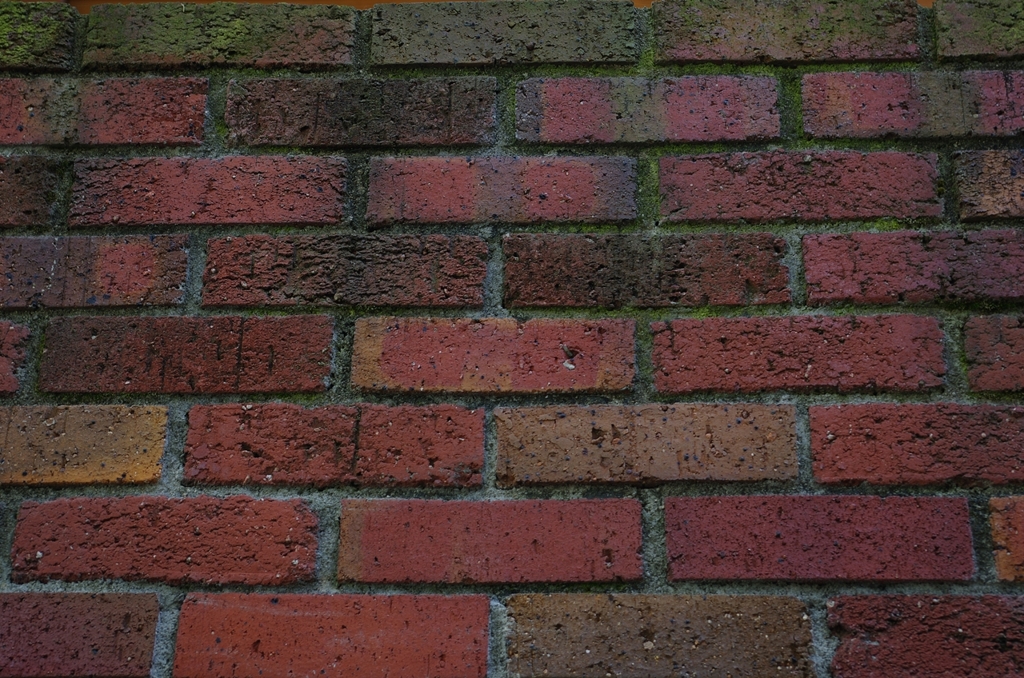 K5IM0078_Resize