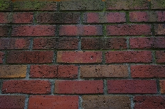 K5IM0078_Resize