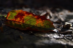 K5IM3437_Resize