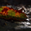 K5IM3437_Resize