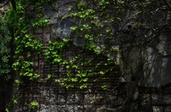 K5IM9962_Resize