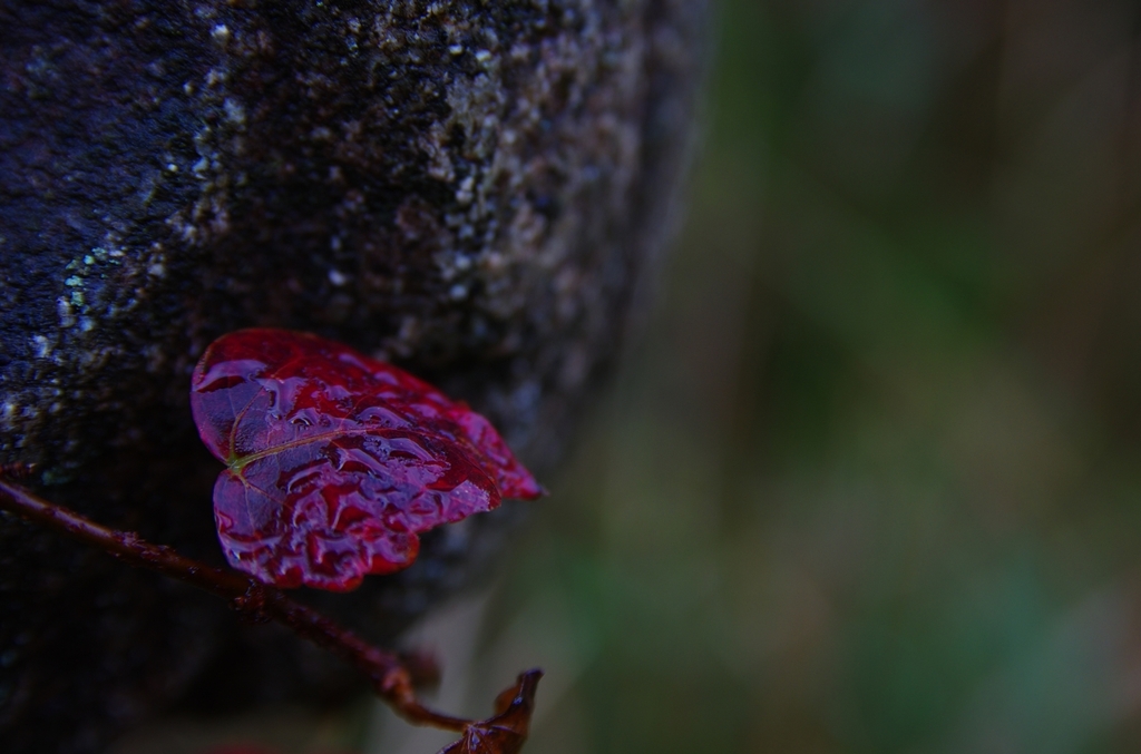 K5IM3453_Resize