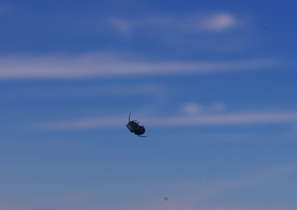 K5IM3503_Resize