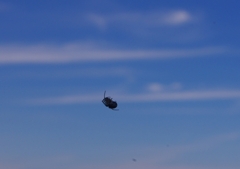 K5IM3503_Resize