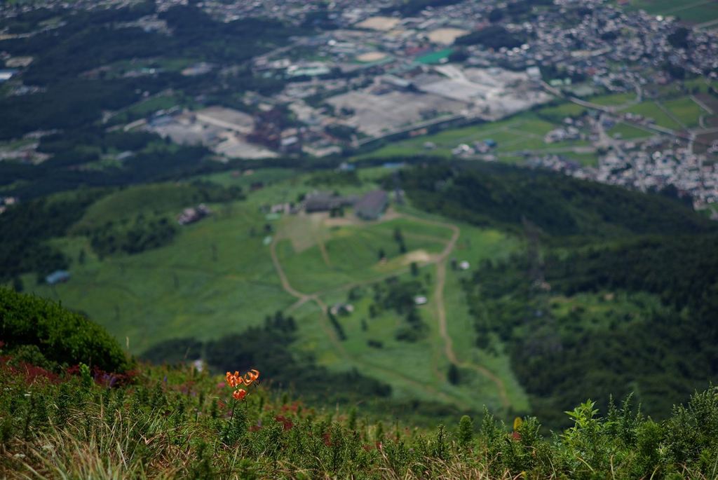IMGP3239_Resize
