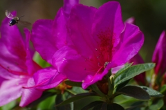 K5IM9826_Resize