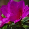 K5IM9826_Resize